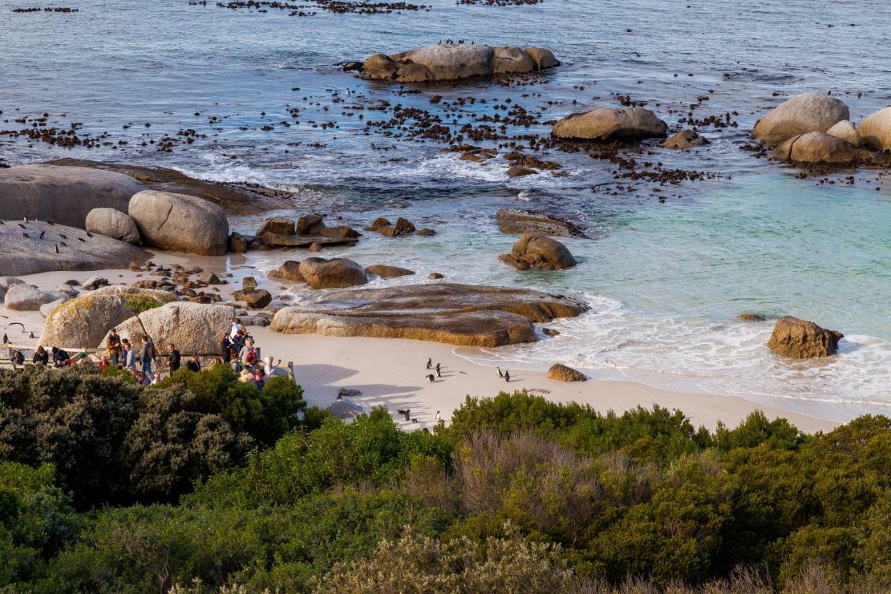 Tintswalo Boulders Villa Simon's Town Ngoại thất bức ảnh